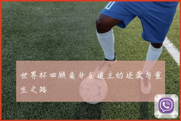 世界杯回顾南非东道主的逆袭与重生之路