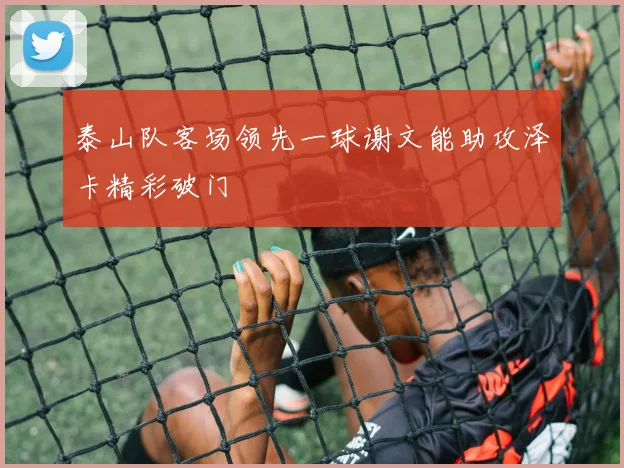 泰山队客场领先一球谢文能助攻泽卡精彩破门
